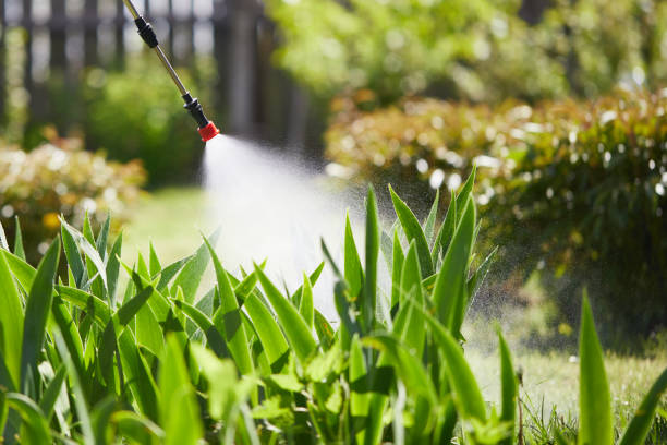 24/7 Emergency Mosquito Control experts in Oakley, CA